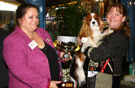 Royal Doulton at Kingsoak - Kortrijk Eurodogshow 2011, Belgi