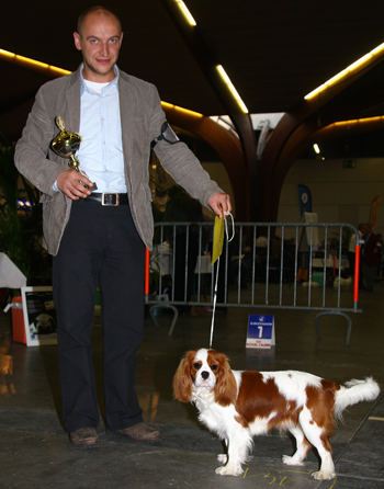 Bengal's Jalapeo - Kortrijk Eurodogshow 2011, Belgi